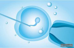 试管婴儿促排卵对孕妈的影响