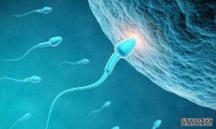 做试管对男性的精子有要求吗？