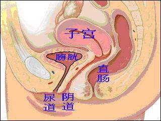 阴道有什么效果