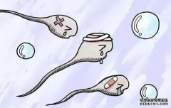 Hello IVF：孕前检查怎么检查精子？武汉助孕